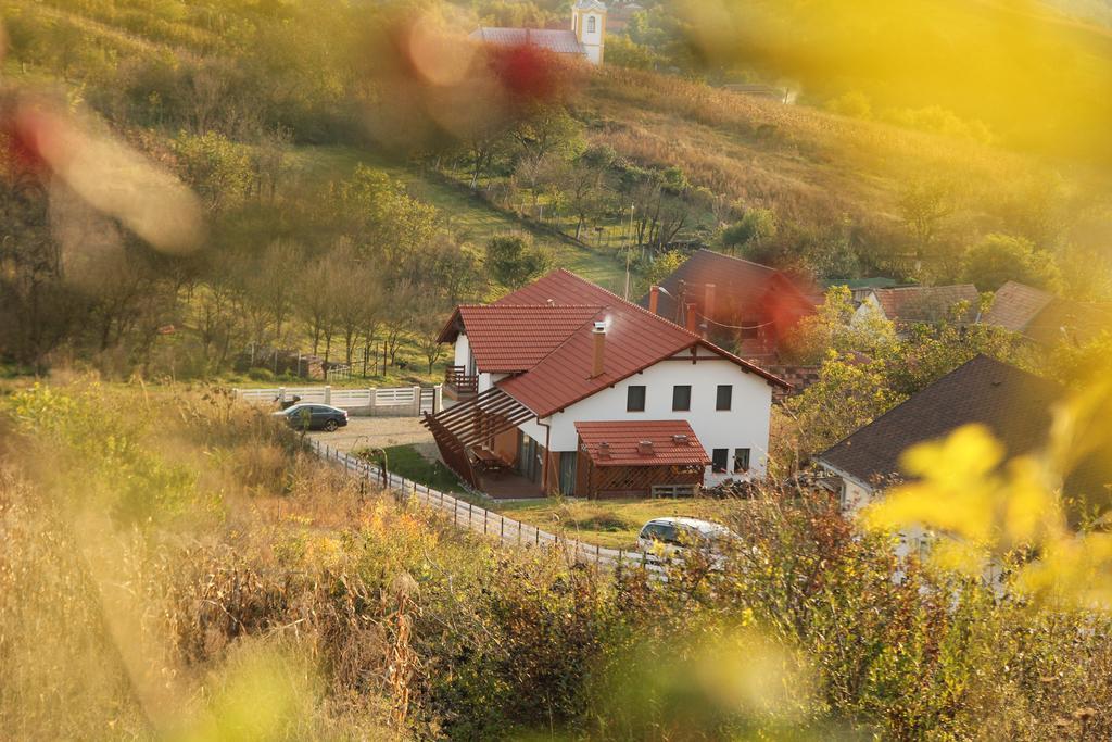Pensiunea Casa Din VII Seusa Eksteriør bilde
